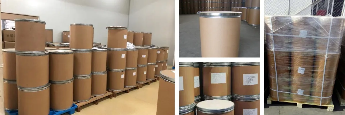 스테비아 추출물 파우더 2 Packing