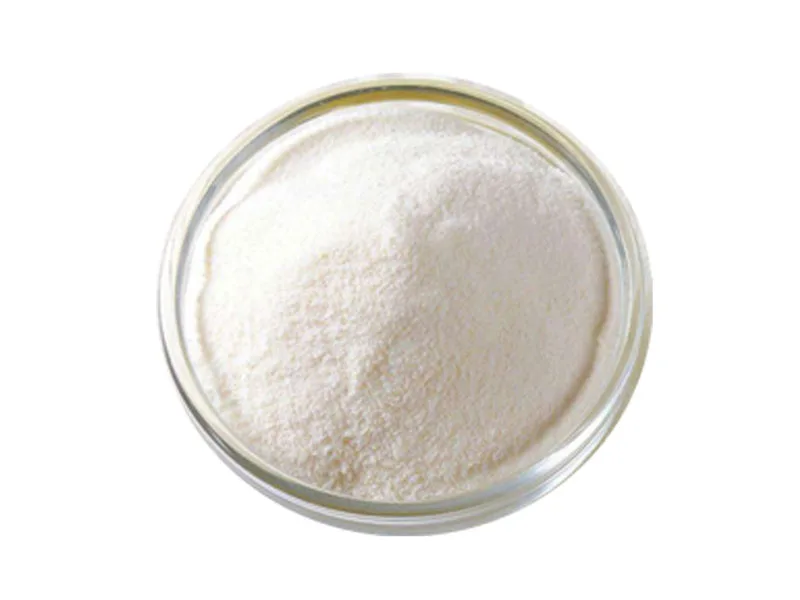 스타키오스 파우더 1 Stachyose powder